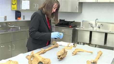 But forensic anthropologists at the University of South Florida have fought to get funding and solve these types of cases for more than a decade. . Forensic anthropology cases solved